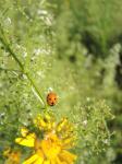 005-DSCN5259
