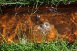 015-IMG_0246