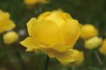 027-IMG_8705