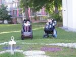 028-DSCN5479