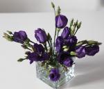 062-IMG_3770