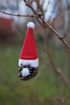 011-IMG_3386
