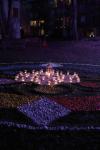031-IMG_3541