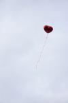 035001DSC01780