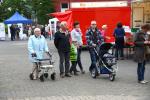 061-hoffest-2012__9944