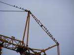 023-Baustelle-Juli-August-2012