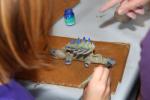 021-drachenfest-2012-10-14__1667
