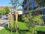 Fotos blaue Haüser #900 am 27.9.2013 038