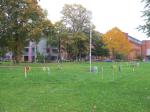 Baumfällen am 11.10.2013 007
