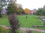 Baumfällen am 11.10.2013 016