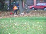 Baumfällen am 11.10.2013 040