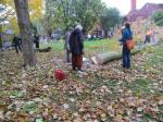 Baumfällen am 11.10.2013 056