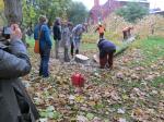 Baumfällen am 11.10.2013 059