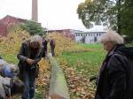 Baumfällen am 11.10.2013 065