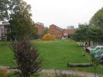 Baumfällen am 11.10.2013 120