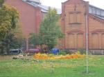 Baumfällen am 11.10.2013 133