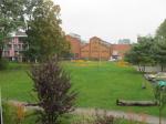 Baumfällen am 11.10.2013 139