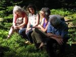 Bild 12 - Luppmen, Hittnau (CH)