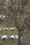074-2016-03-eroeffnung-Haus-der-Mitte4013