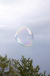 025IMG_0525