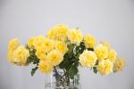 028IMG_7397