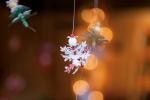 003IMG_2430