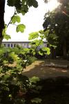 024IMG_7627