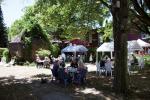 029IMG_7801
