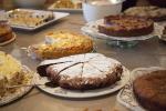 019IMG_24742474