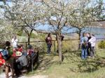 2010-04-18-Nierstein-a